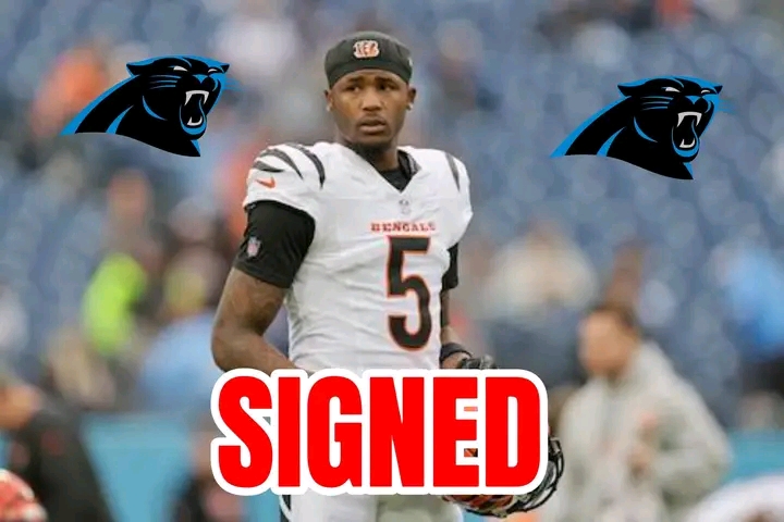 Breaking: Bengals WR Tee Higgins Reveals Major Deal with Panthers to Potential New Team. See more