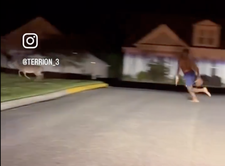 Kerby Joseph Tries to Catch a Deer with Bare Hands in Hilarious Offseason Video